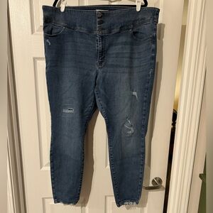 Lane Bryant High-Rise Skinny Jeans - Size 24